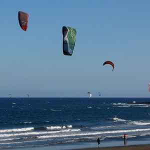 IMG_0919WS
