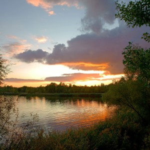 _DSC1456WS