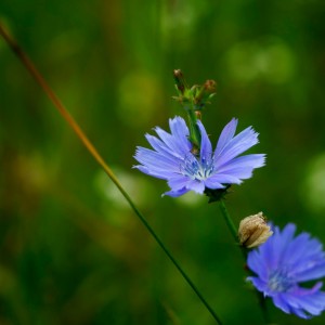 _DSC6488WS