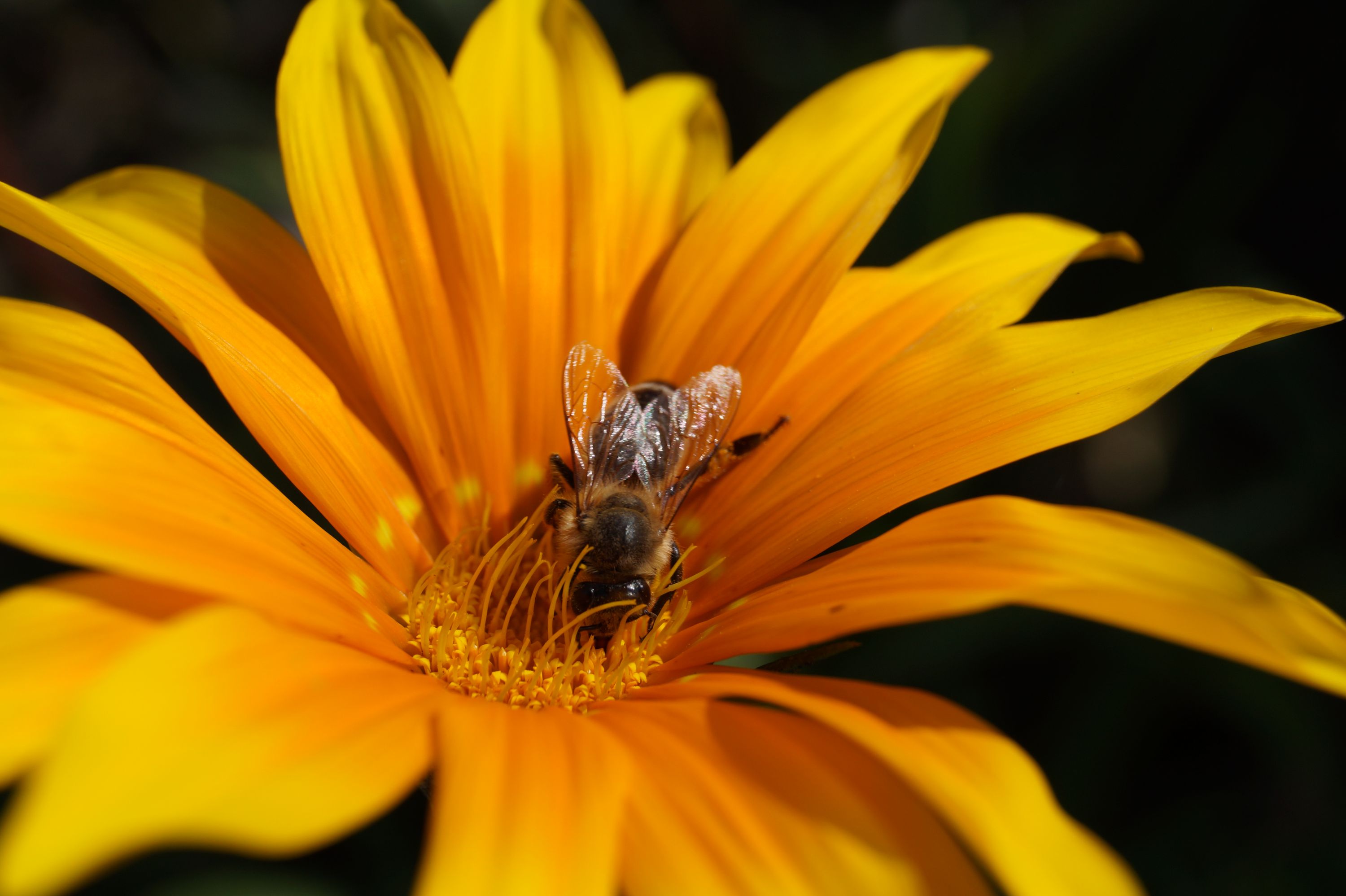 inbound7606619917006814378