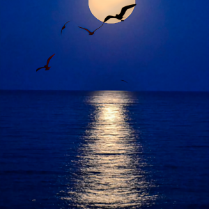 Moon road
