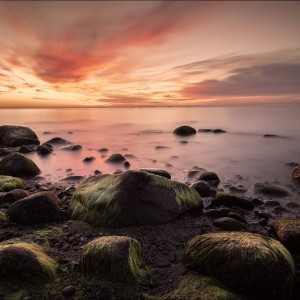 inbound3772554904343162020