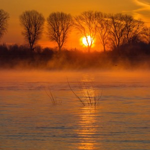 Rhein Meerbusch