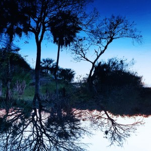 inbound804108754928983979