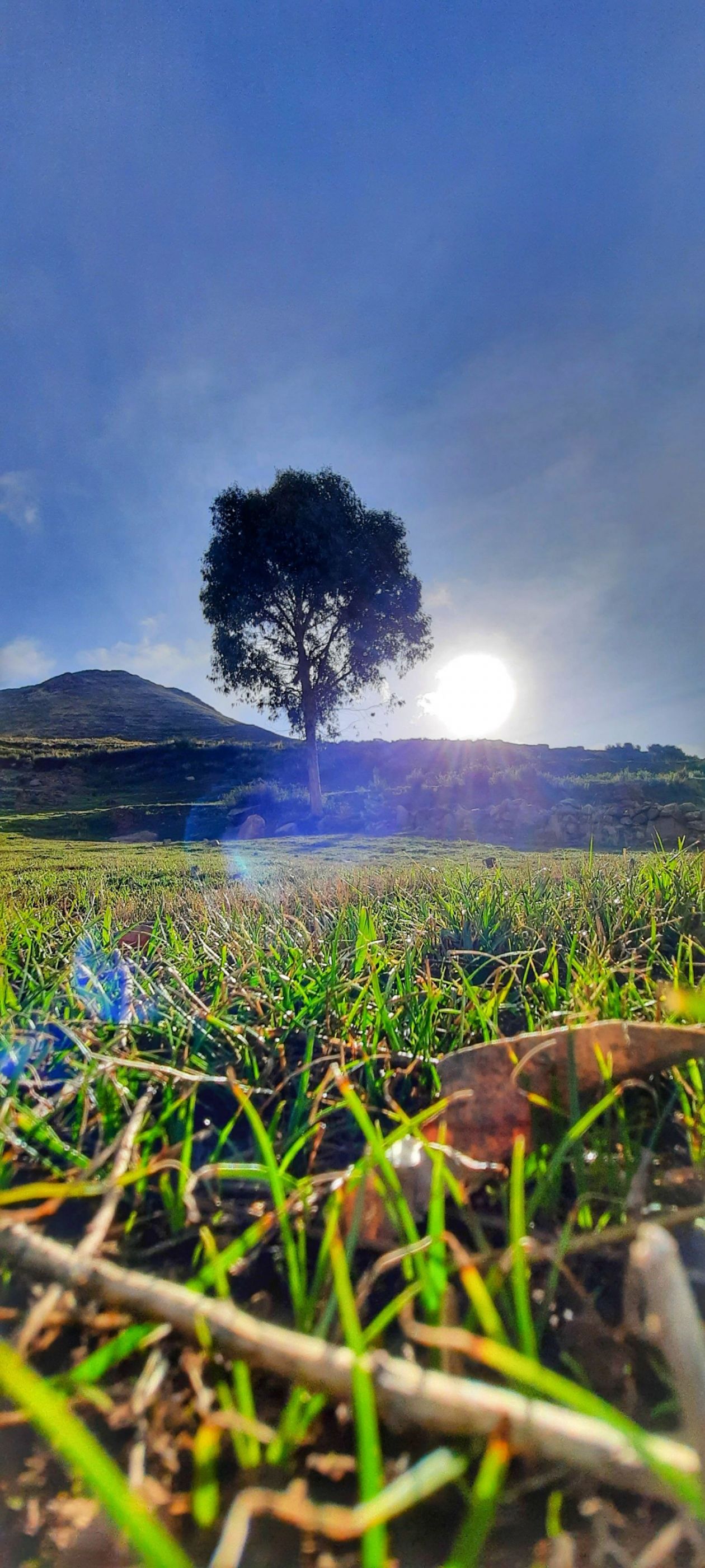 El sol calienta mi alma fría