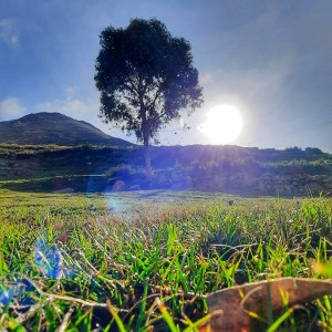 El sol calienta mi alma fría