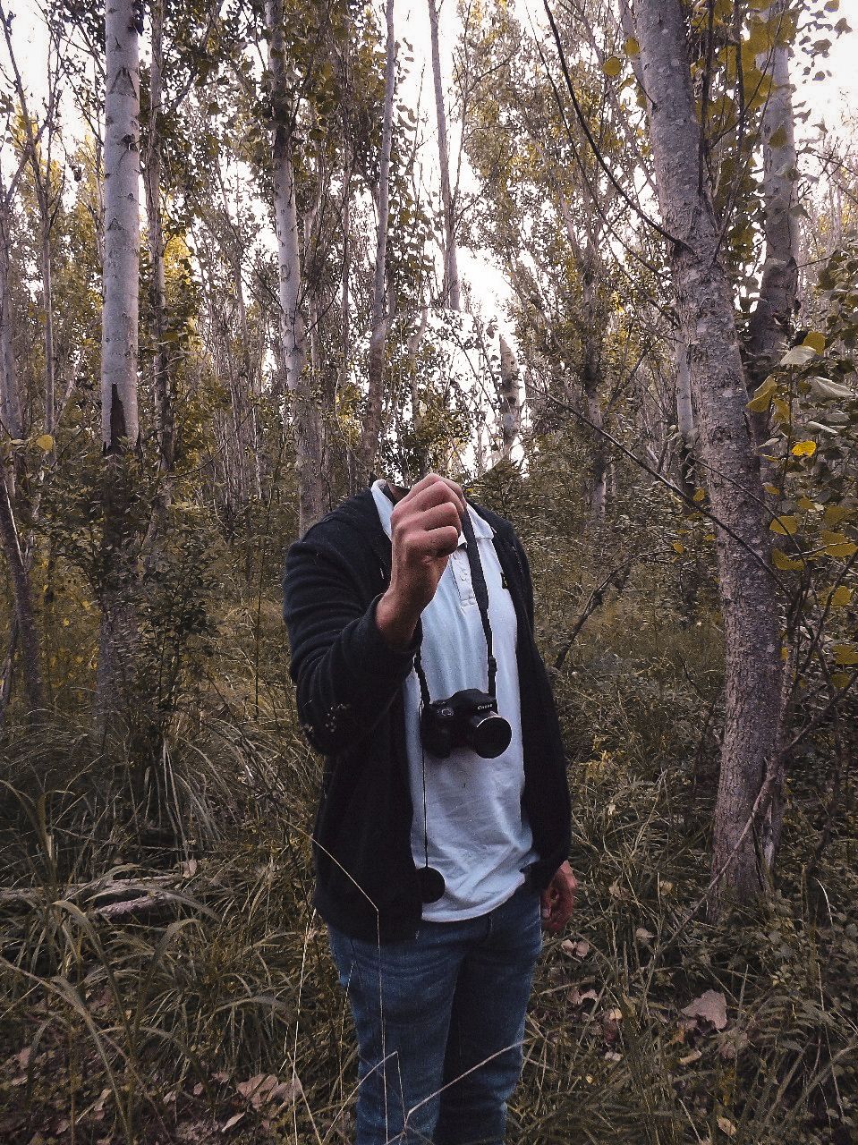 Yo