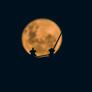 20210427195709_IMG_4161