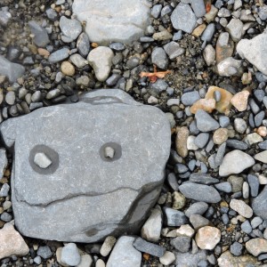 Stone Face