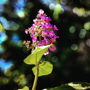 IMG_20210404_175217_864