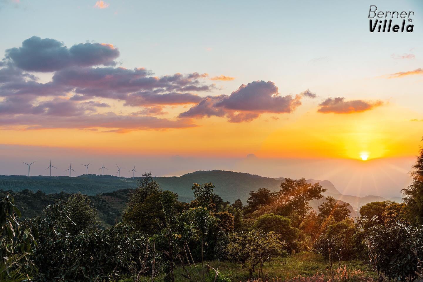 7D59B00A-9DB8-495B-87BB-63EA240B3D8E