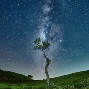 828C973E-6037-4E63-A5FA-8F1D1DBCDB8C