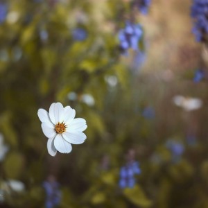 FA05BD94-E2FD-4638-BC6F-2662CAC1A11A