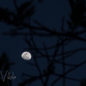 BF510468-C134-497E-8C00-EC7D35E8AB89