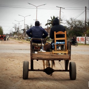 transportados