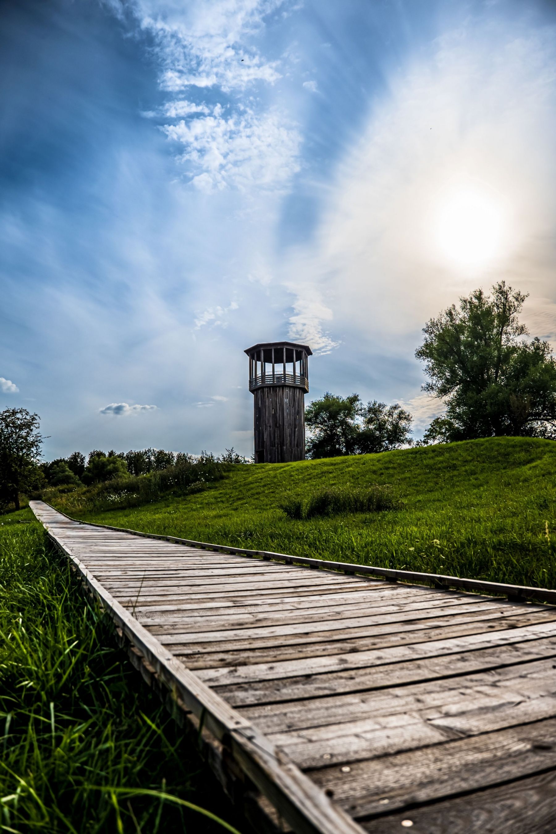 Walkway and Tower