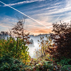 Misty morning