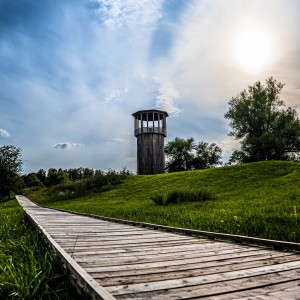 Walkway and Tower