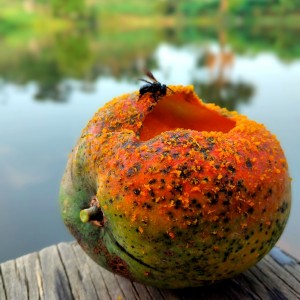 inbound1157079005186791461