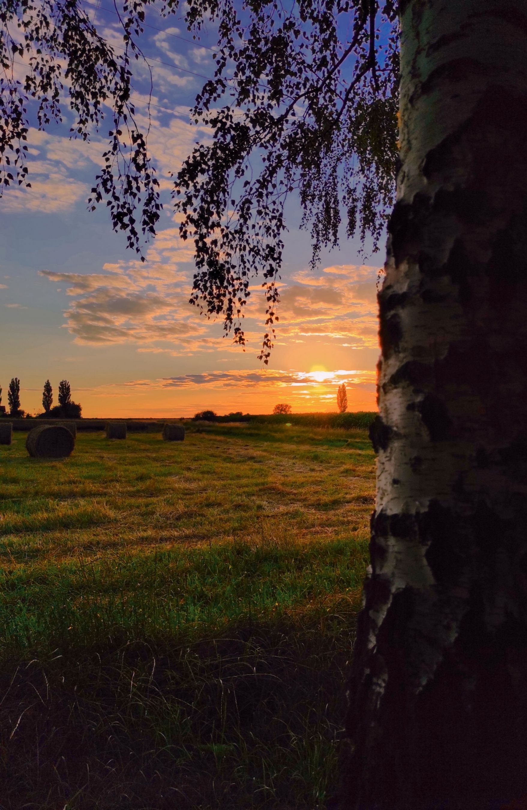 inbound6917056268319436646