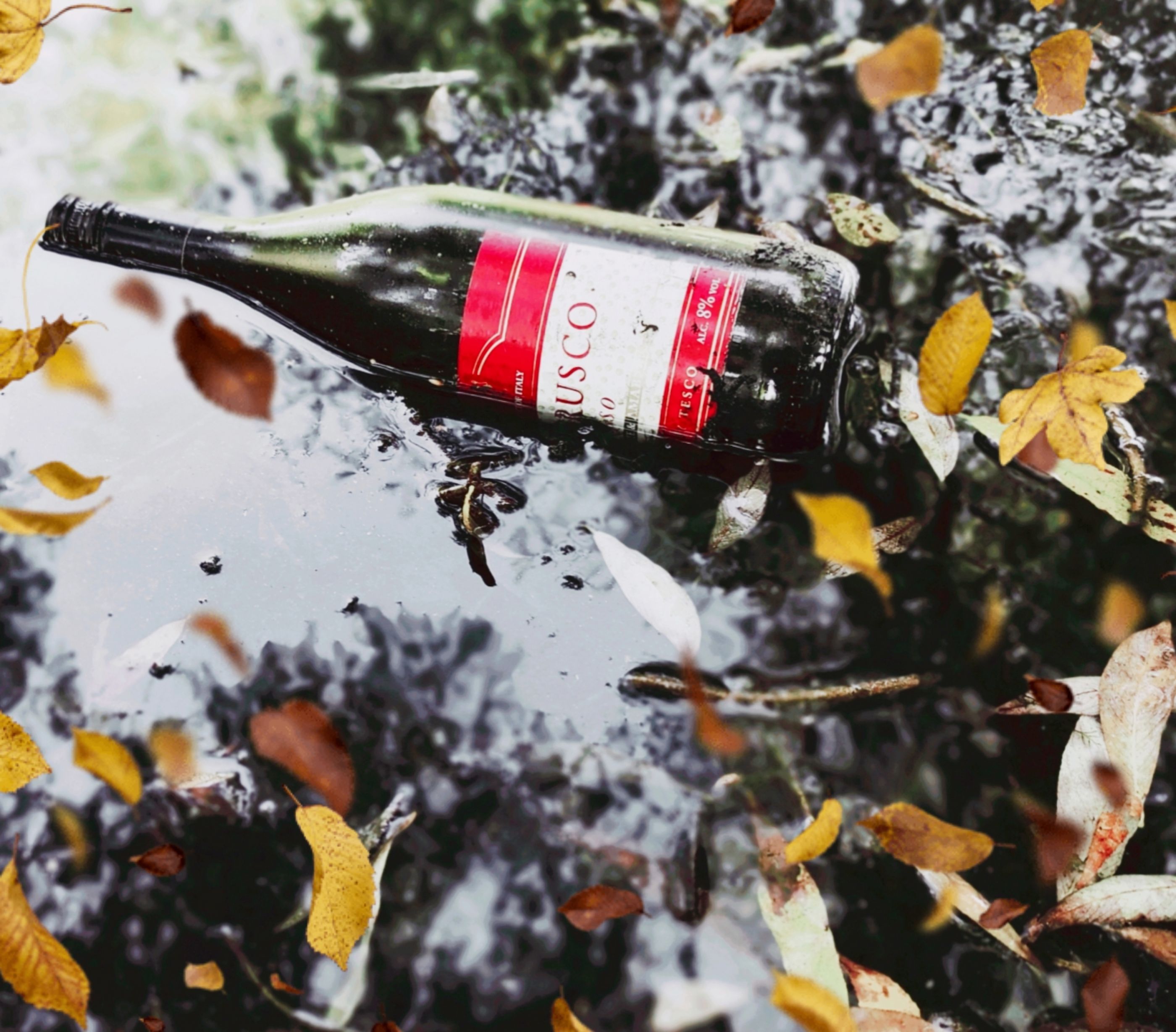 Polish_20211028_203632396