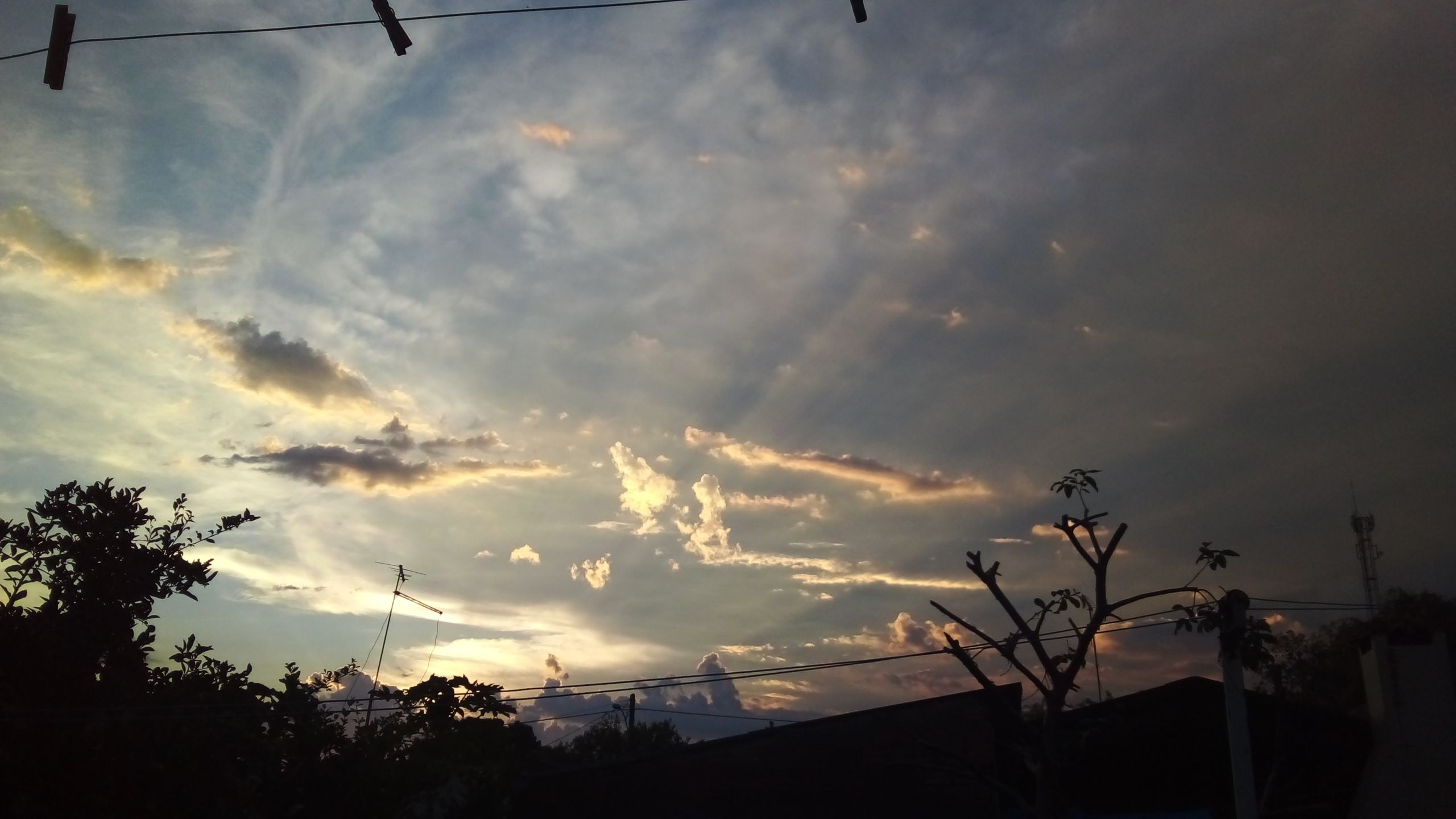 inbound5984109956365386562