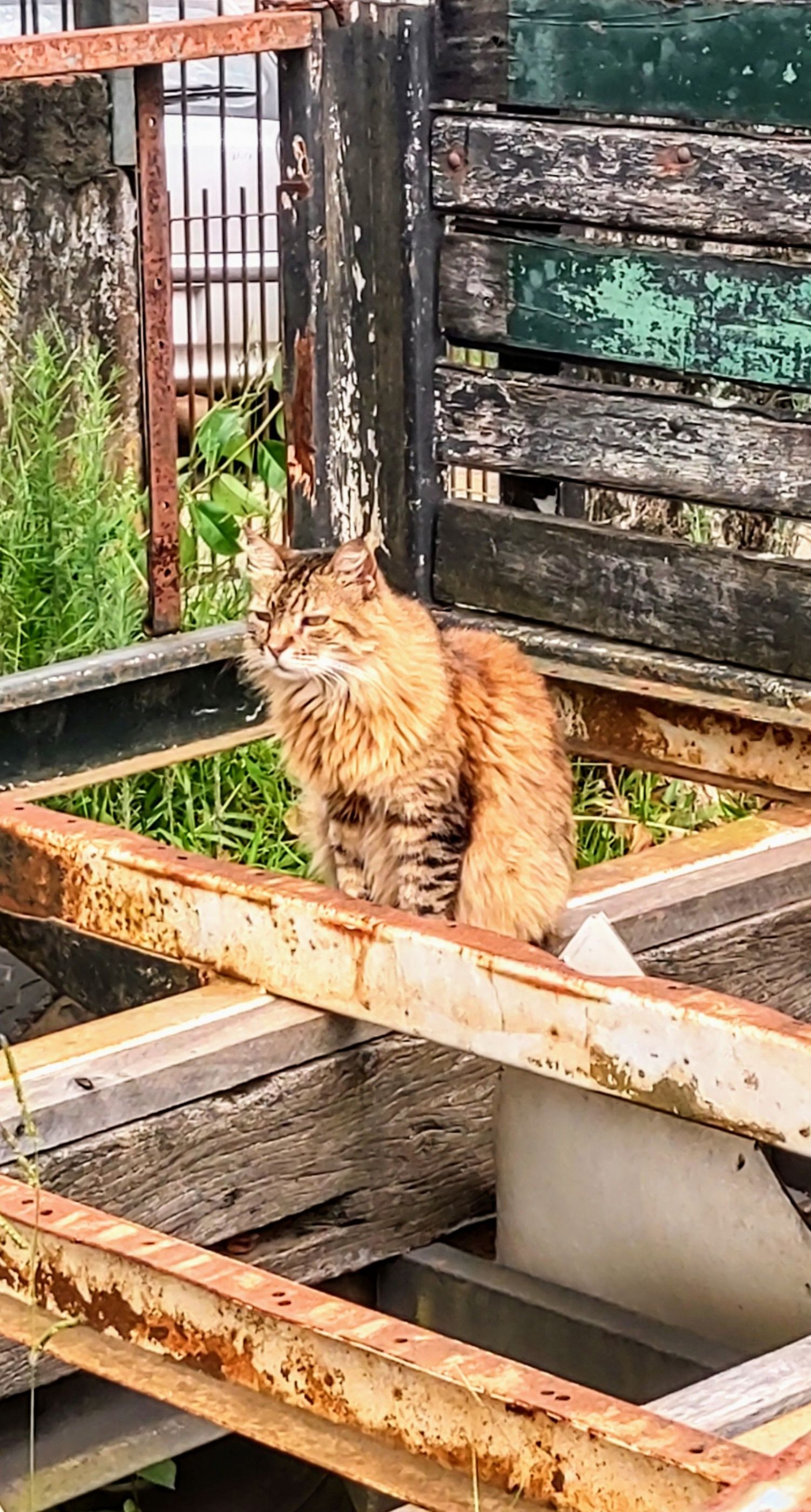 IMG_20240103_095657357_HDR~3