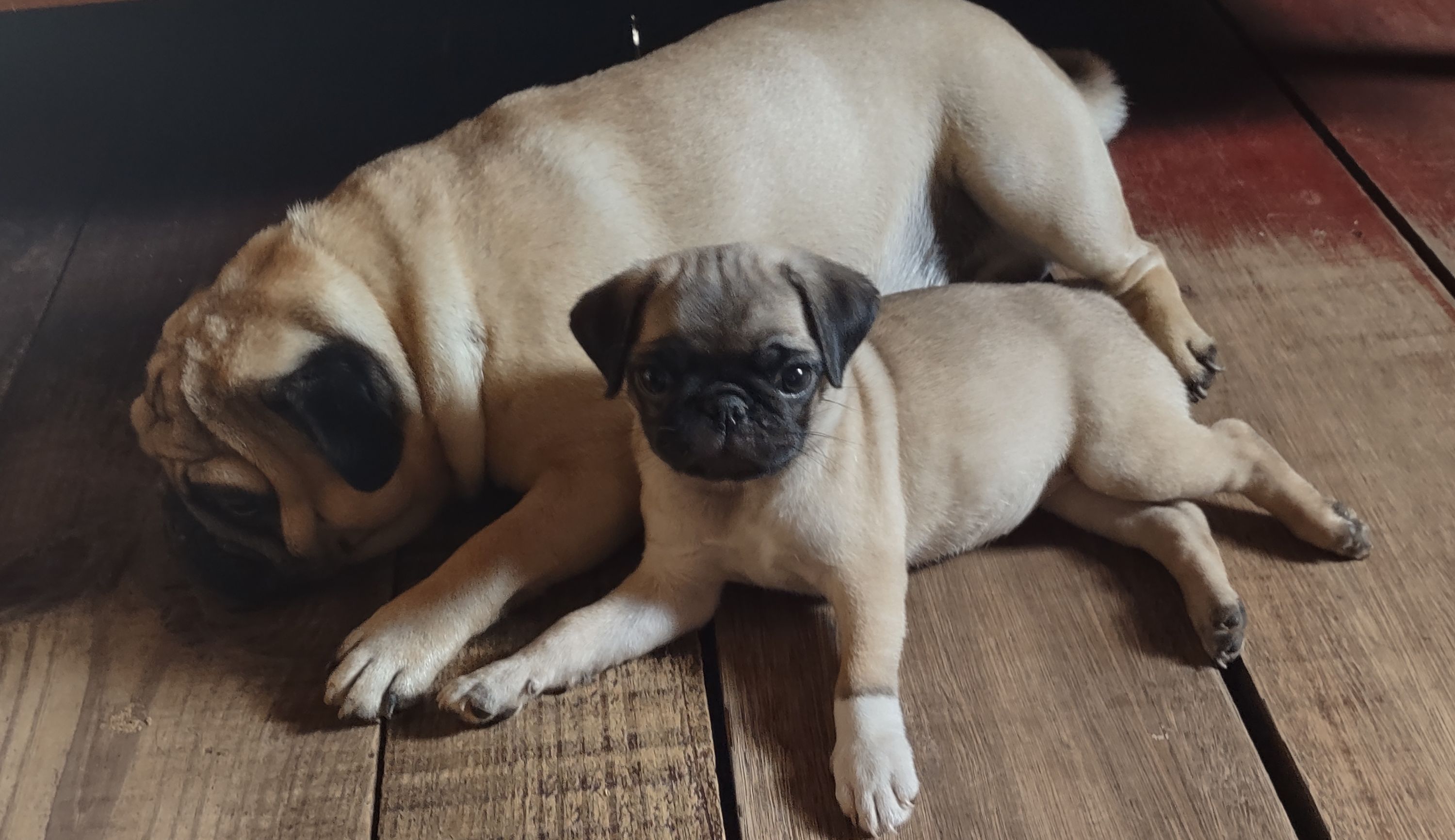 IMG_20240102_131016341_HDR~2