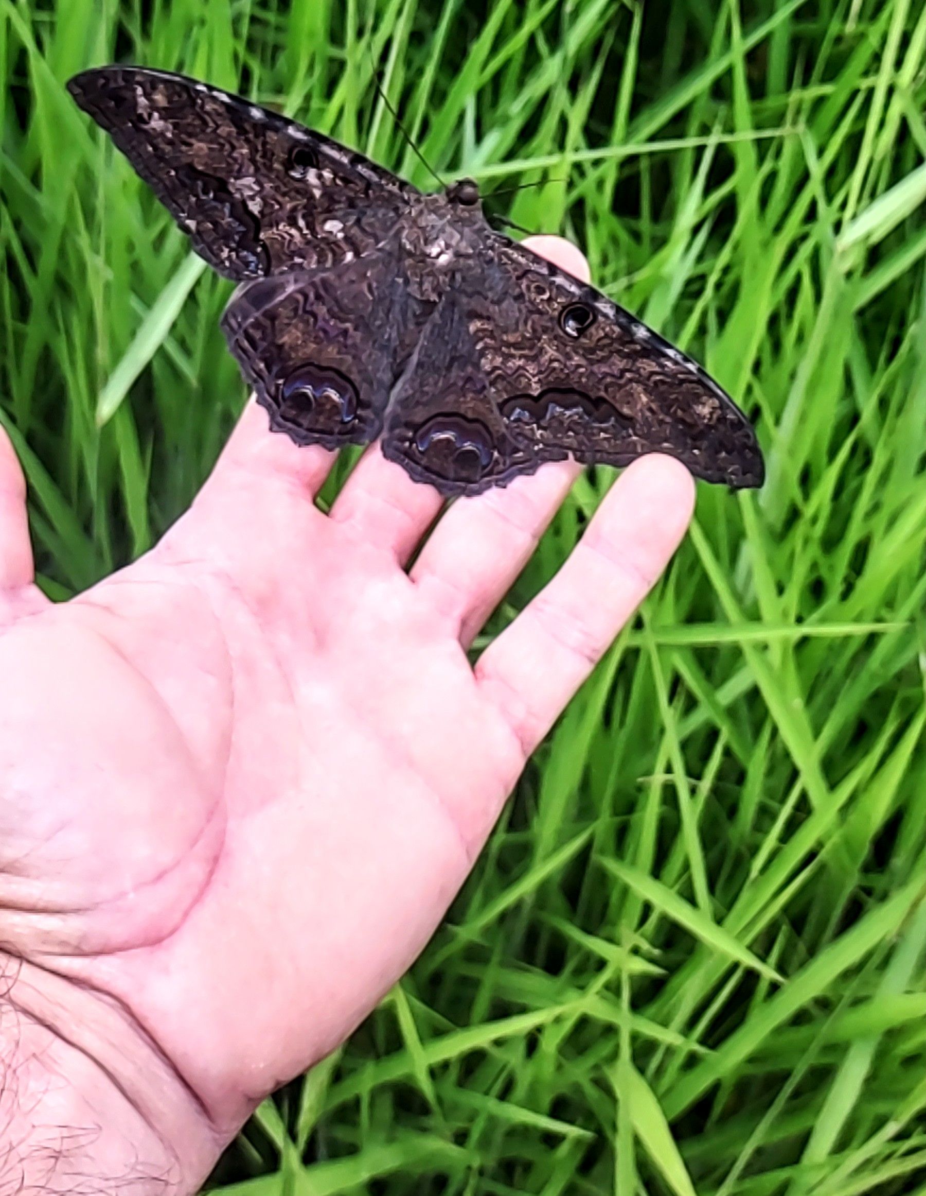 IMG_20240128_111109835~2