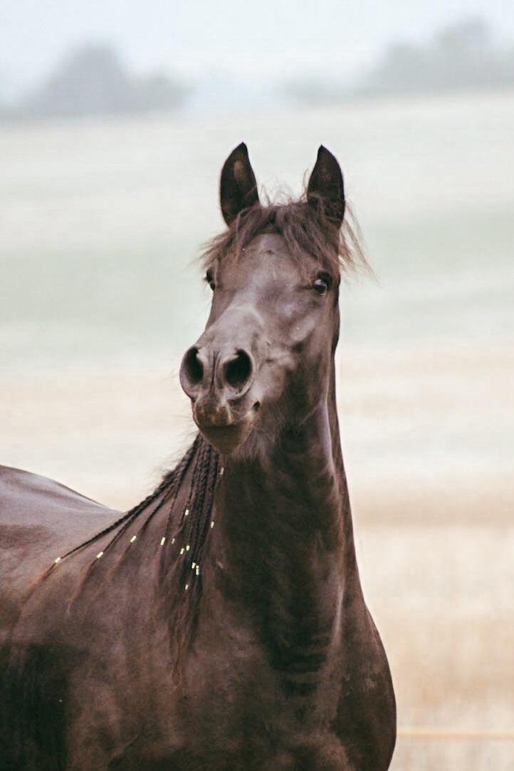 6DE52B02-30C0-4E18-9F04-ABDCC964CD86