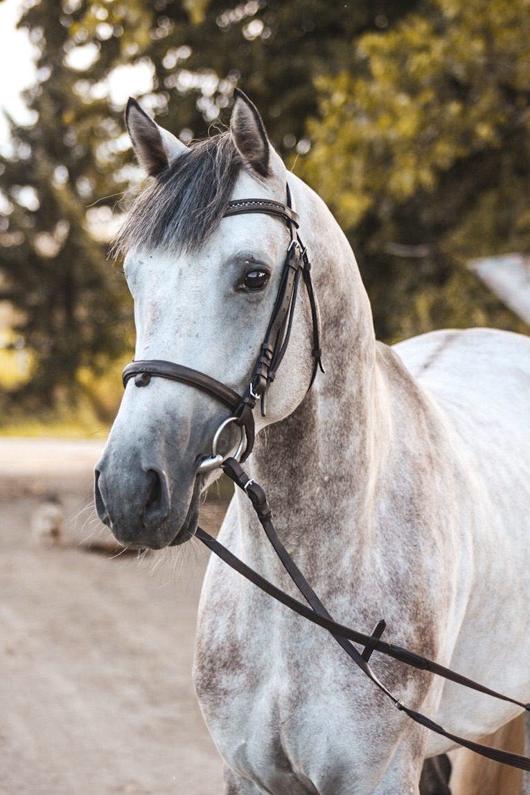 63BD125C-FB2D-4A49-8F60-A355569B0155