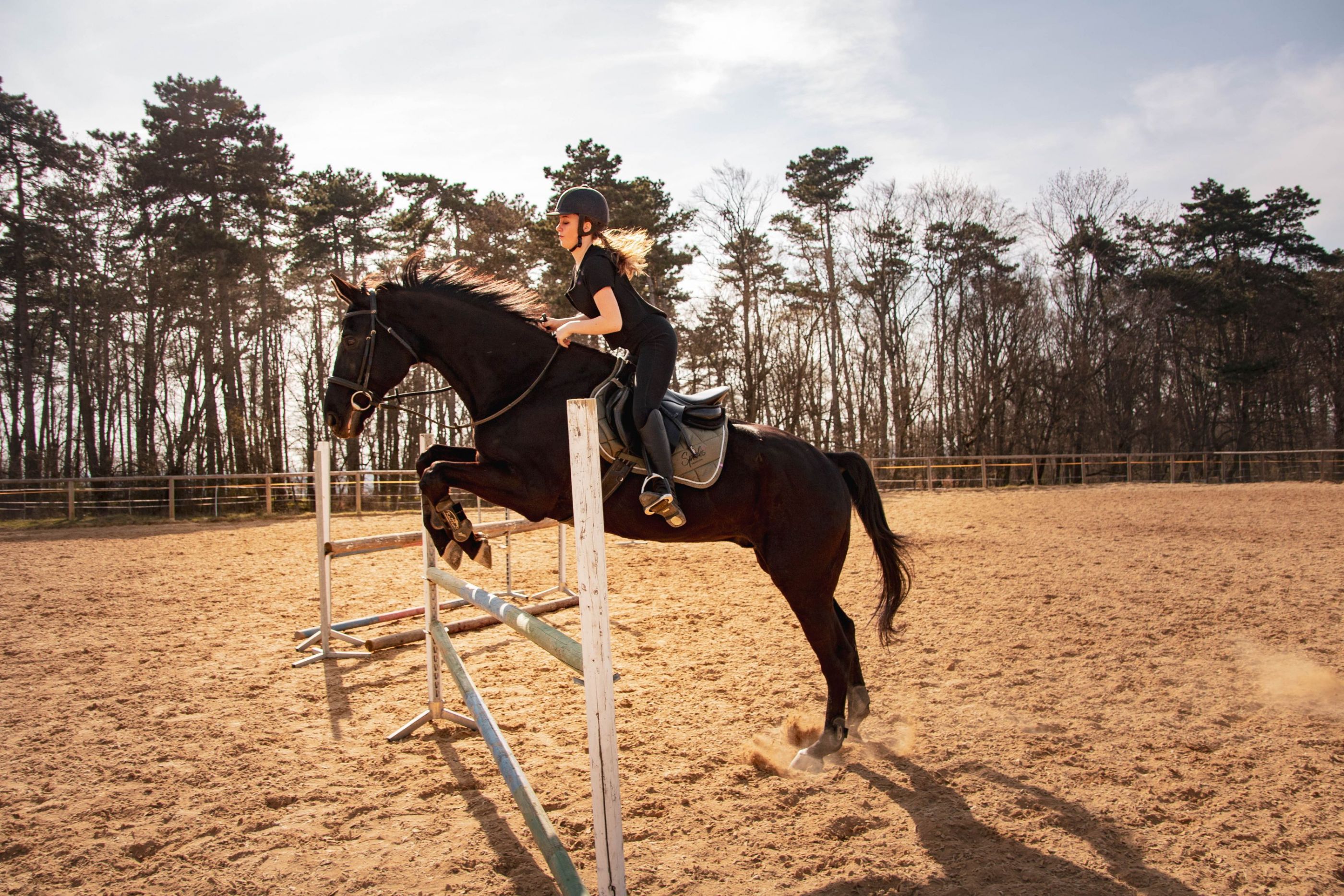 Horse jump