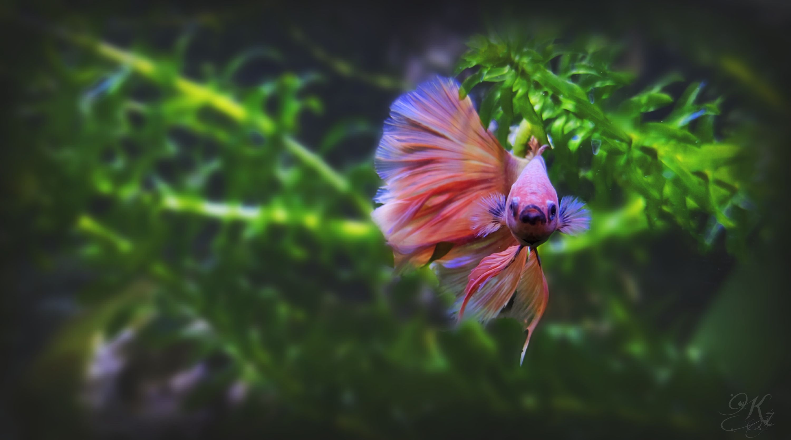 inbound1678761325018266811