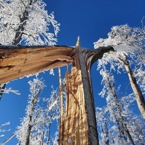 inbound4970804682803941454