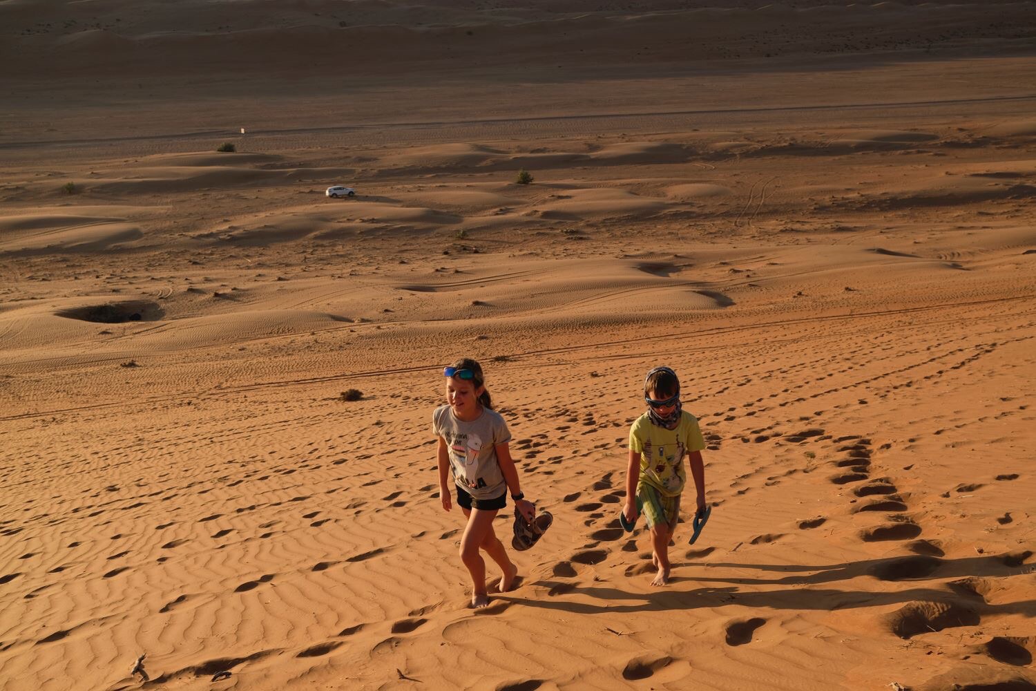 07B2CE74-44ED-496C-A0ED-9FD8CFD9E586