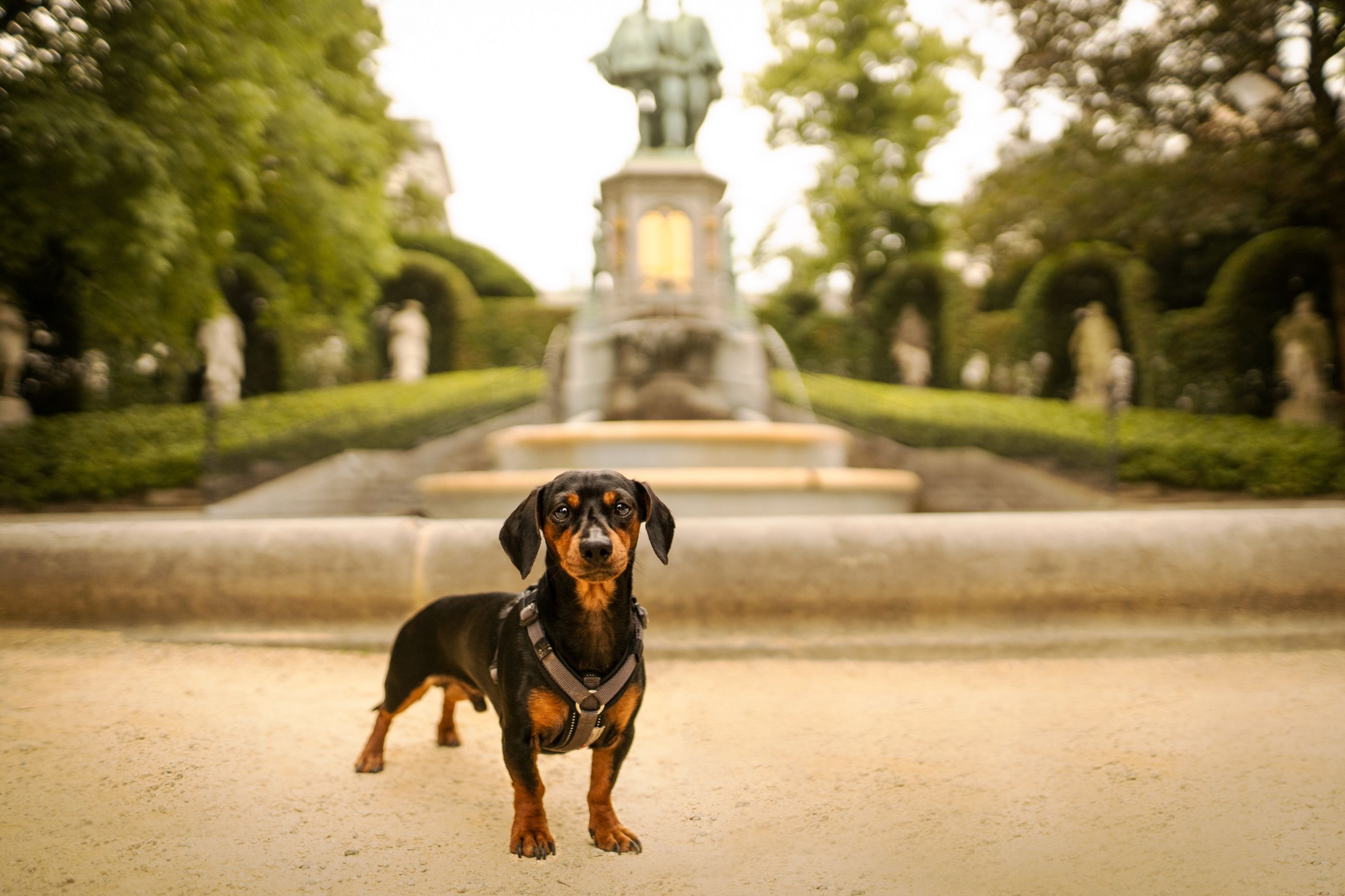 02AFCC7D-35D0-488C-ADDA-90931B14C185