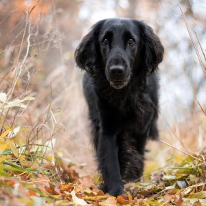 1604777528370_1604777526486_IMG_8472-01