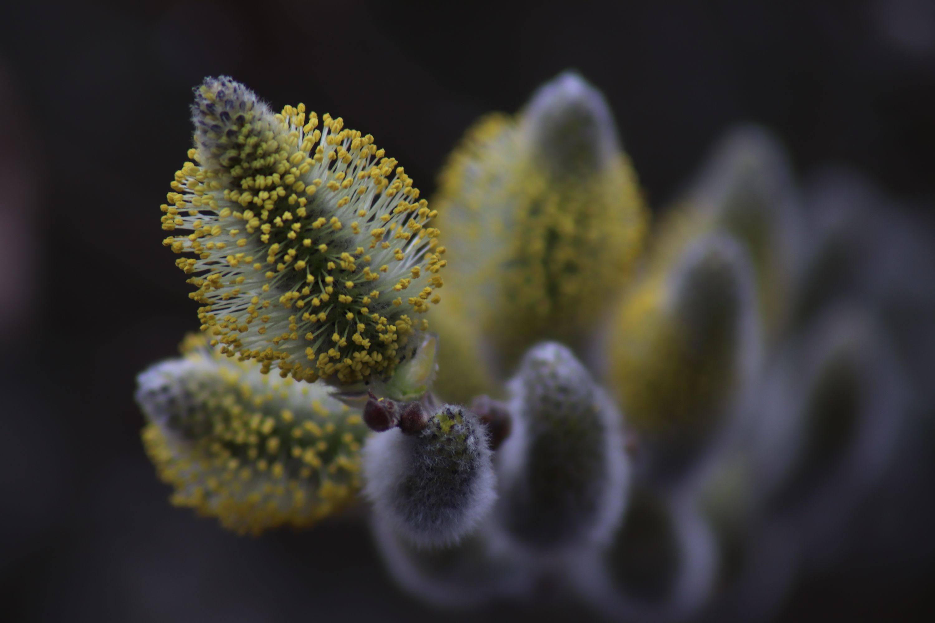 20210402084353_IMG_9159