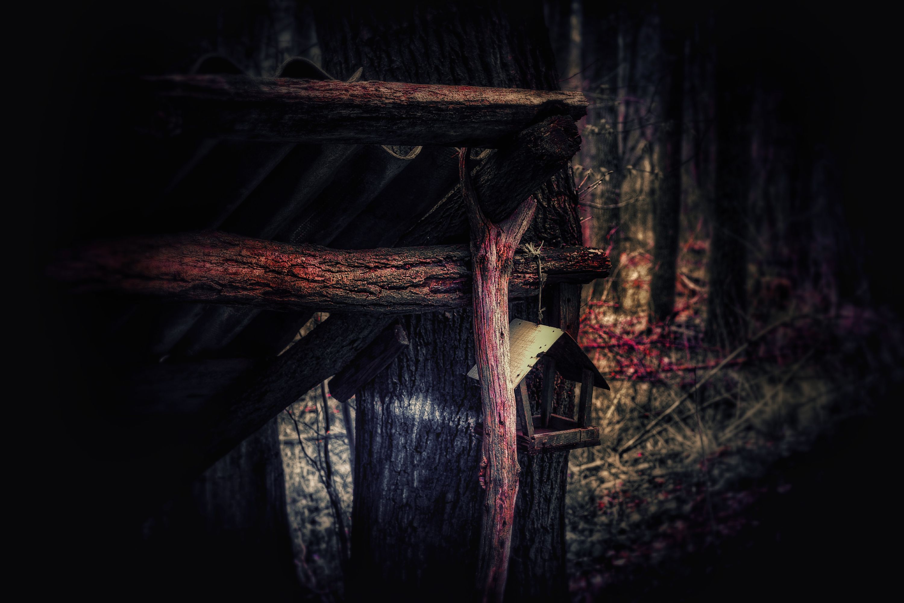 PSX_20210418_185155-01