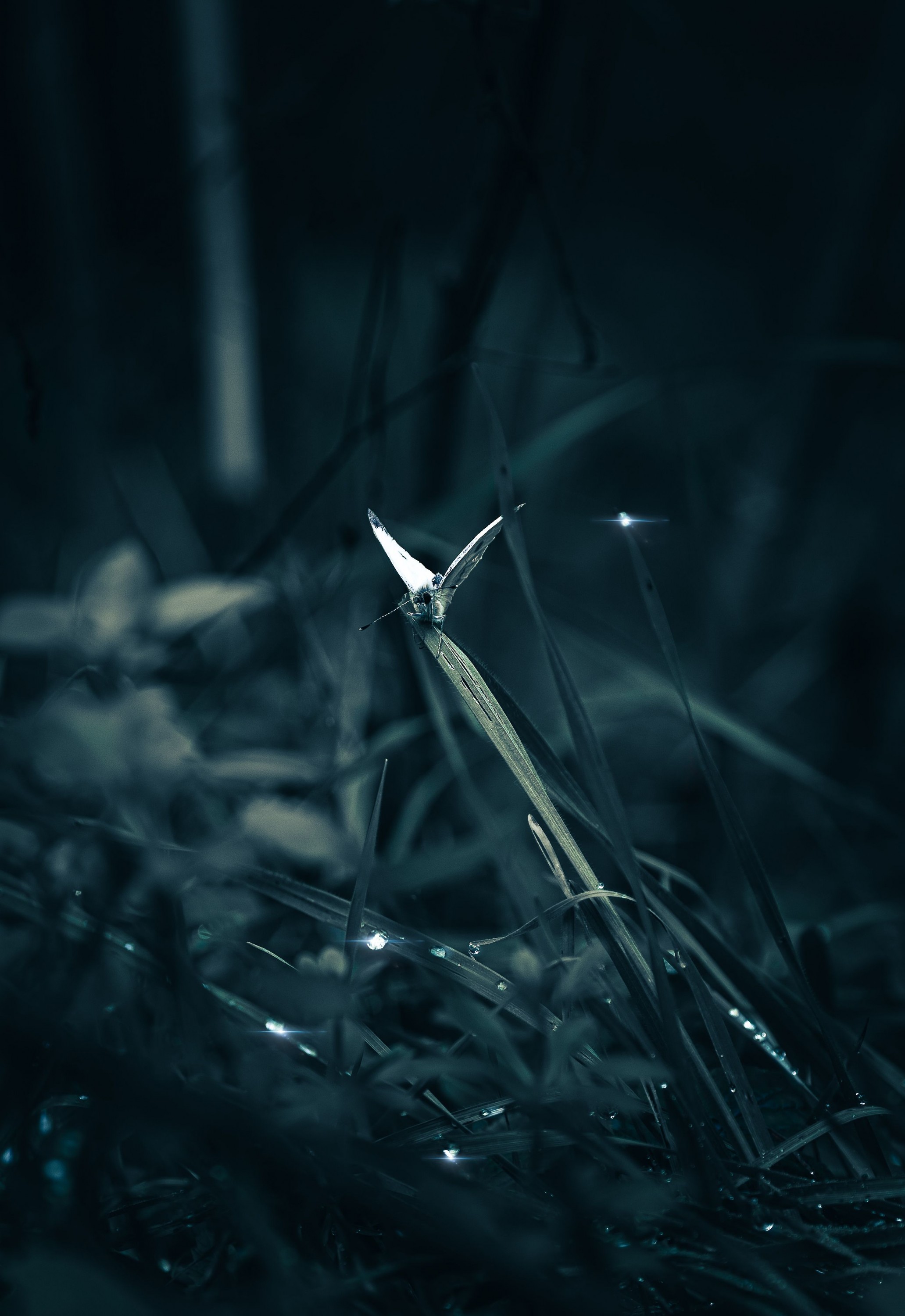 2Q7A7466-Edit
