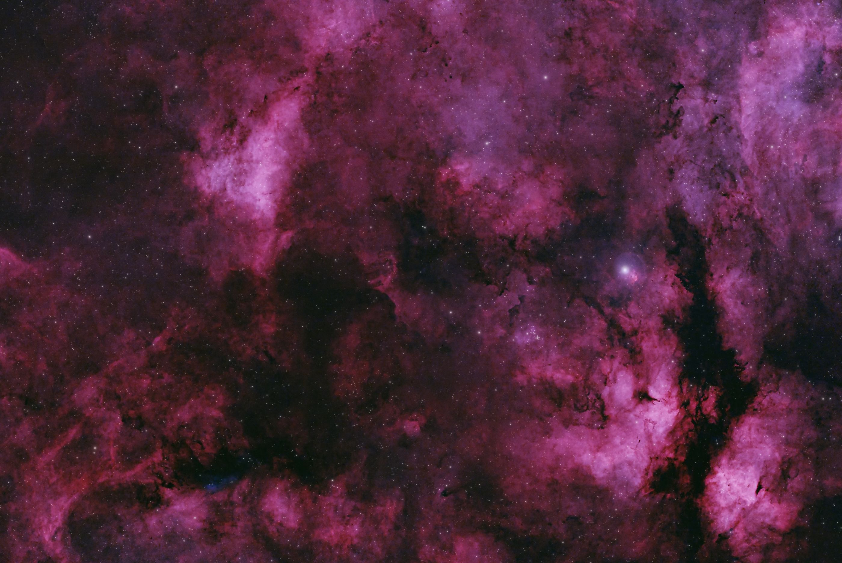 Gamma Cygni Nebula (IC 1318) & Open Cluster NGC 6910