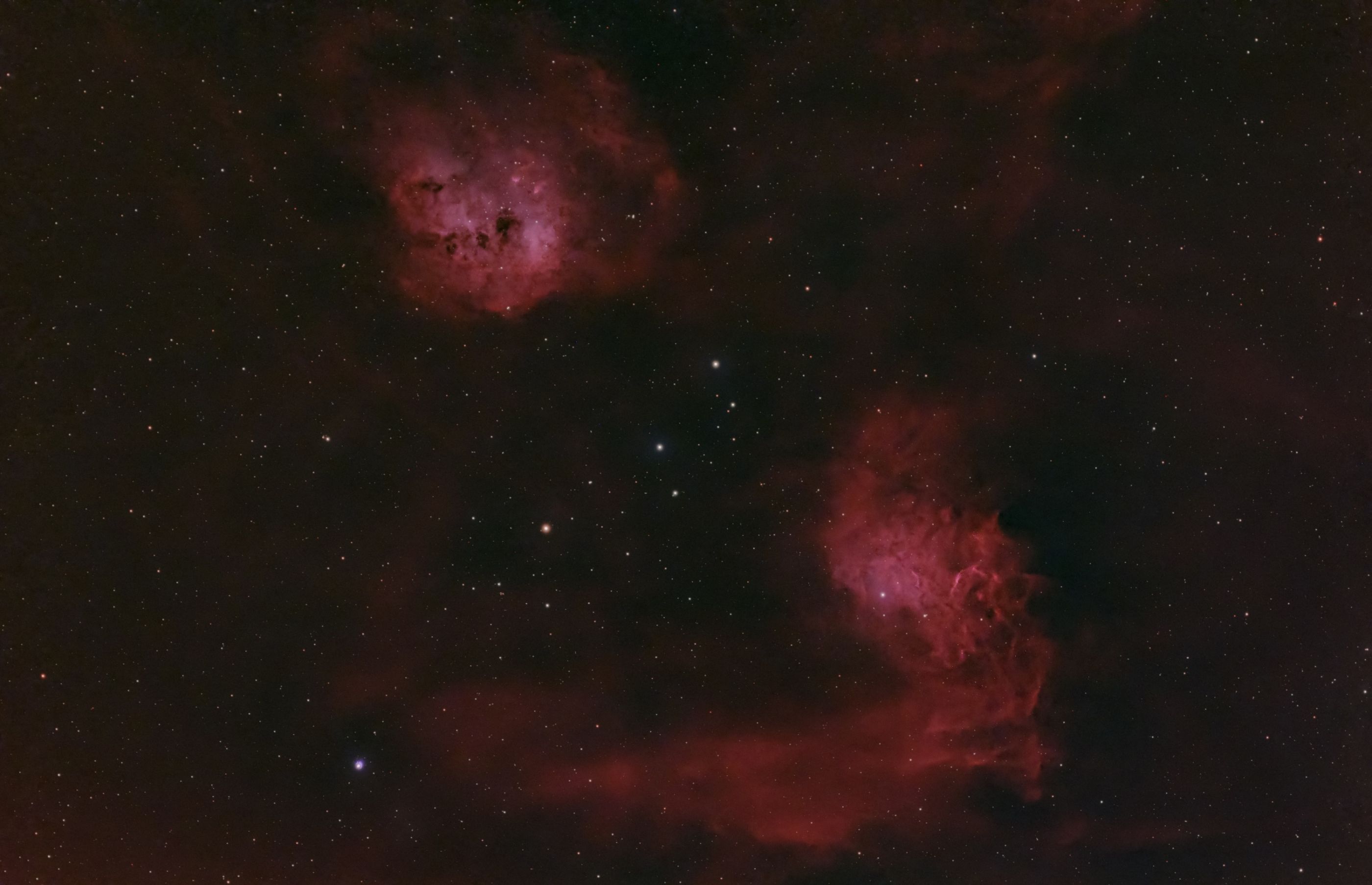 Tadpoles and Flaming Star Nebula