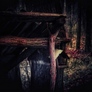 PSX_20210418_185155-01