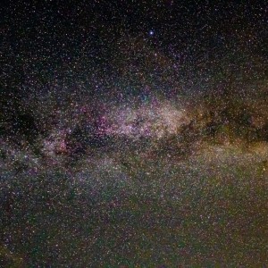IMG_7519