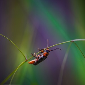 IMG_2914