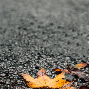 2Q7A7419-Edit