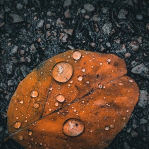 2Q7A7439-Edit