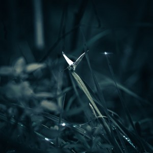 2Q7A7466-Edit