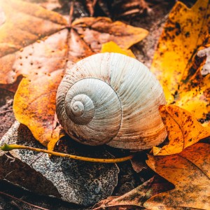 EAD4FAE2-3581-4283-A5FE-F2DBA6DD4370