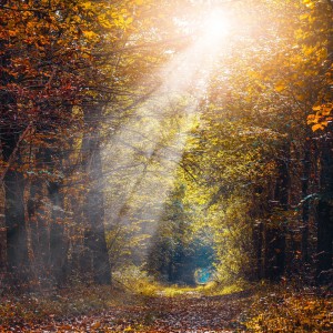 731DFACF-4DB2-40B6-AD64-22318CA6FA72